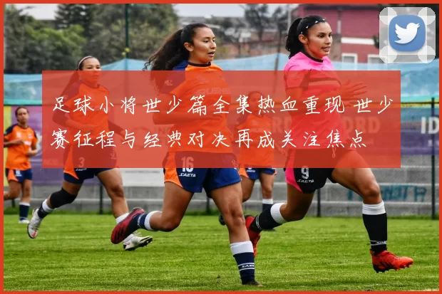 足球小将世少篇全集热血重现 世少赛征程与经典对决再成关注焦点