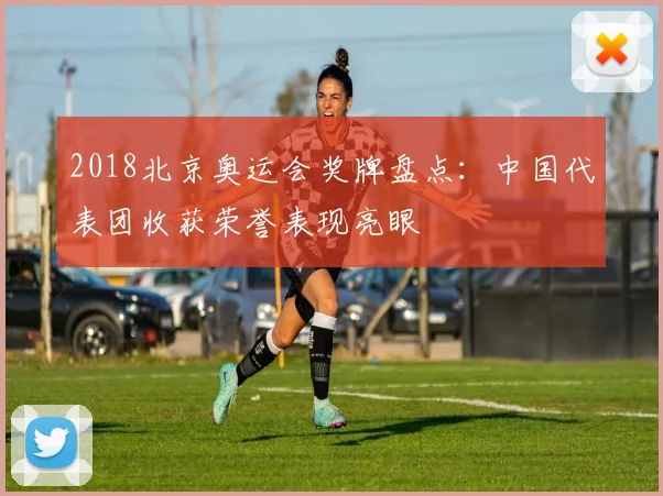 2018北京奥运会奖牌盘点:中国代表团收获荣誉表现亮眼
