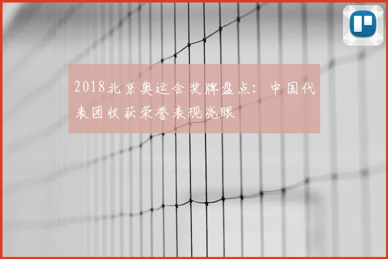 2018北京奥运会奖牌盘点:中国代表团收获荣誉表现亮眼
