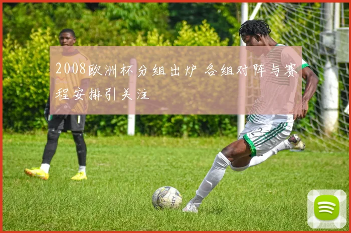 2008欧洲杯分组出炉 各组对阵与赛程安排引关注